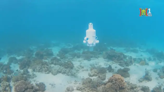 Australia sử dụng UAV tích hợp AI để bản vệ san hô