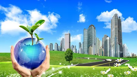 Xu thế đẩy mạnh phát triển kinh tế xanh 