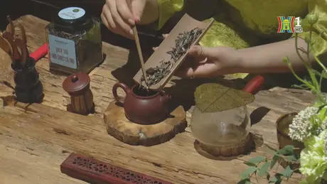 Workshop 'Nếp Trà', lan toả văn hoá trà Việt