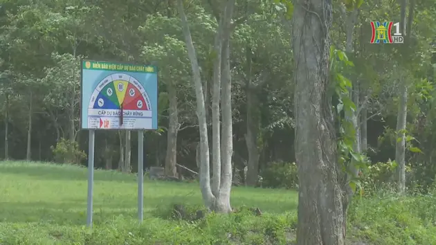 Nắng nóng gia tăng, Hà Nội cảnh báo nguy cơ cháy rừng