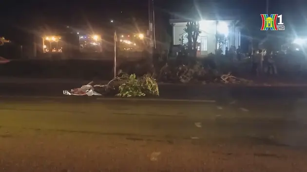 Tai nạn giao thông tại Bình Phước khiến hai người tử vong