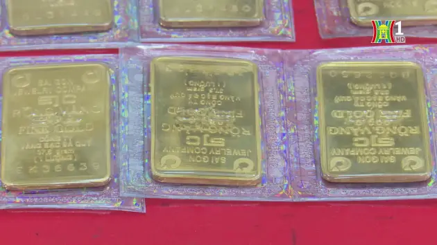 Đấu thầu vàng lần 5, giá sốc 85,3 triệu đồng/lượng