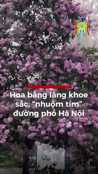 Đài Hà Nội