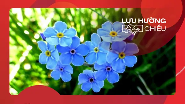 Nhịp sống ở làng trông xe | Nhịp sống Hà Nội | 07/08/2024
