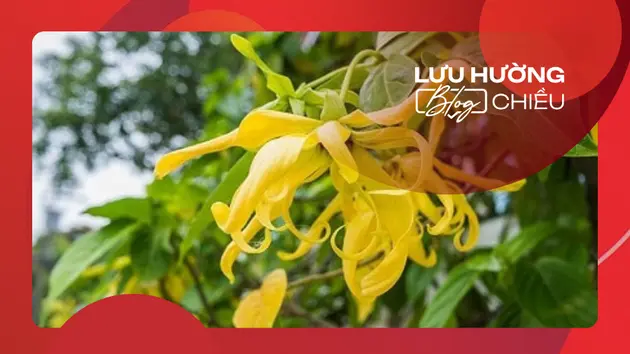 Triệt phá đường dây vận chuyển ma túy xuyên quốc gia