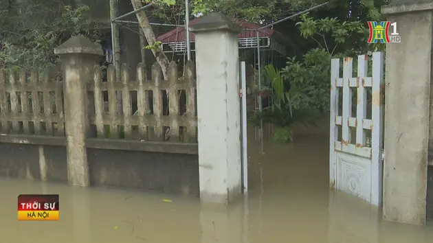 Đài Hà Nội