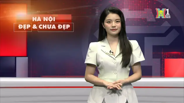 Xe máy không quan sát đâm ô tô đang quay đầu