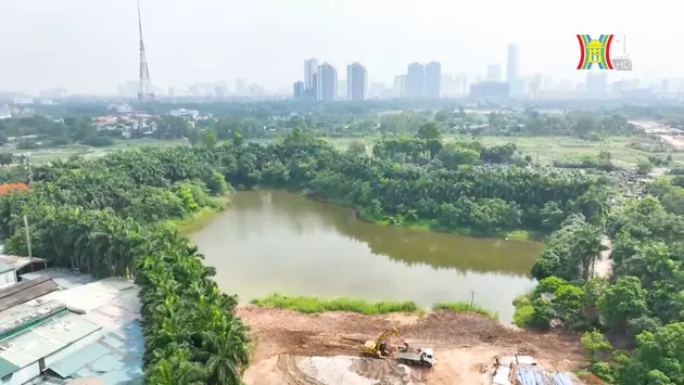 Phát triển nông nghiệp đô thị với giống nho sữa Hàn Quốc | Nông nghiệp đô thị | 18/08/2024