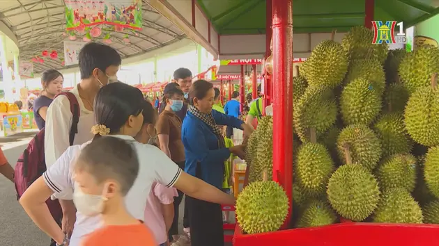 Lễ hội trái cây Nam Bộ, sản phẩm du lịch độc đáo