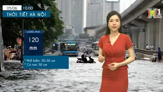 Ngành nông nghiệp ở Dải Gaza tê liệt do xung đột