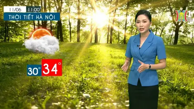 Cây đổ làm đứt cáp điện chiếu sáng nhiều phố Hà Nội