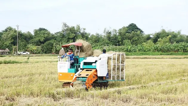 Dự án xử lý rơm rạ giảm thiểu ô nhiễm môi trường