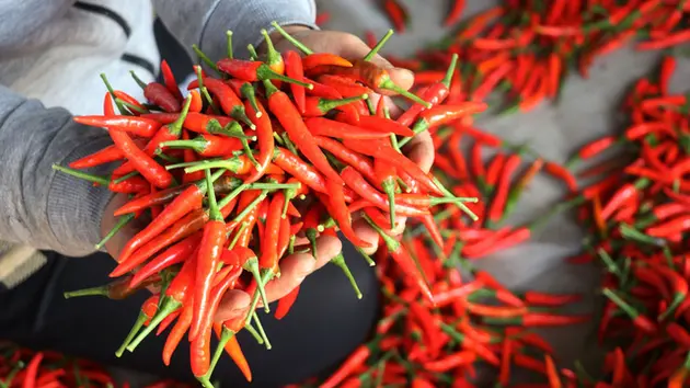 Kim ngạch xuất khẩu ớt tăng tới 36%