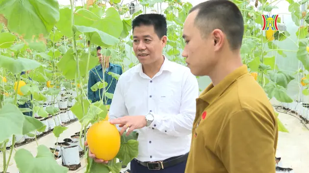 Gương sáng thanh niên xuất ngũ làm kinh tế giỏi | Truyền hình Quốc phòng Thủ đô | 16/06/2024