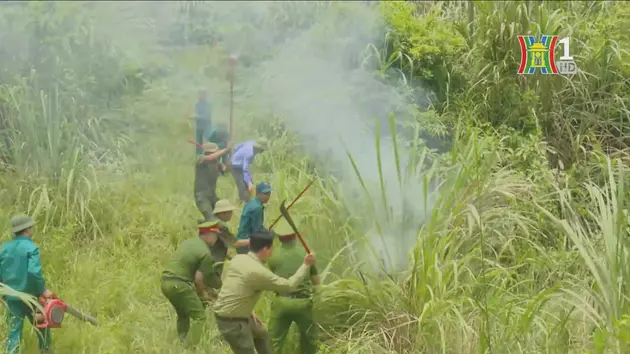 Đài Hà Nội