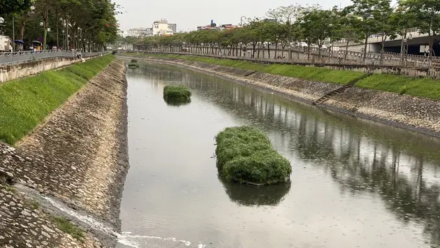 Để dòng sông Tô Lịch lại xanh trong