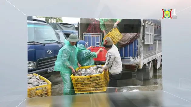Kiểm soát ATTP tại các chợ đầu mối | Nói về ATTP và dinh dưỡng | 06/07/2024