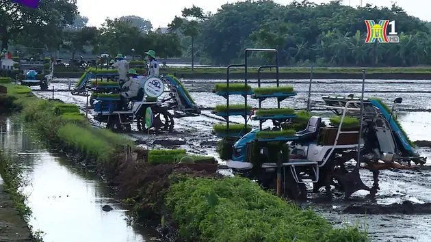 Thúc đẩy cơ giới hoá trong sản xuất nông nghiệp | Chuyện ở ngoại thành | 05/07/2024