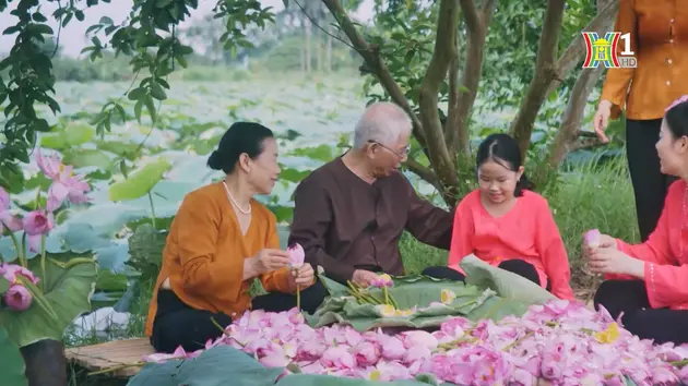 Tái cơ cấu nông nghiệp - thay đổi diện mạo tại nhiều địa phương | Phát triển nông nghiệp nông thôn | 20/07/2024