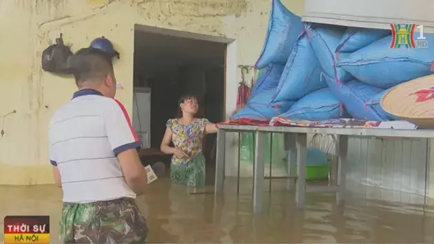 Đài Hà Nội