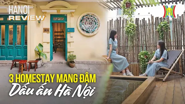 Top homestay quận Hoàn Kiếm chất lượng, giá tốt cho du khách | HANOI Review | 29/07/2024