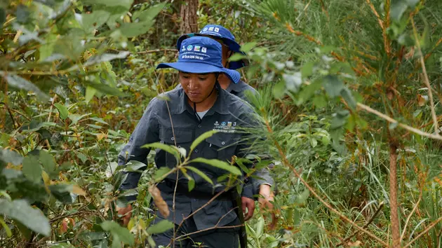 Đài Hà Nội