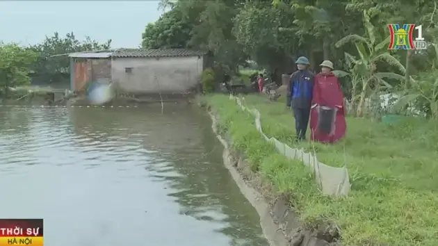 Đài Hà Nội