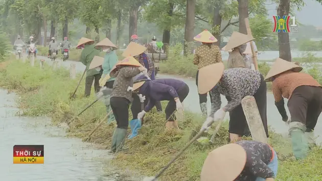 Đài Hà Nội