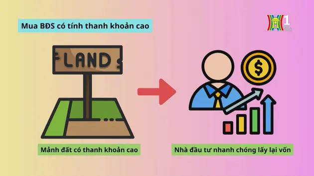 Kinh nghiệm quan trọng khi tham gia đấu giá đất

