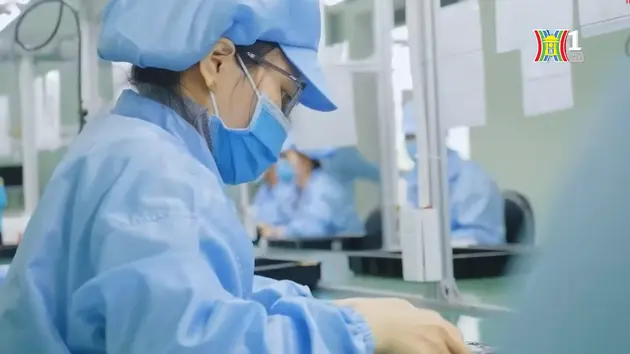 Đánh bom tự sát tại Brazil ngay trước thềm hội nghị G20