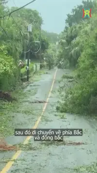 Đài Hà Nội