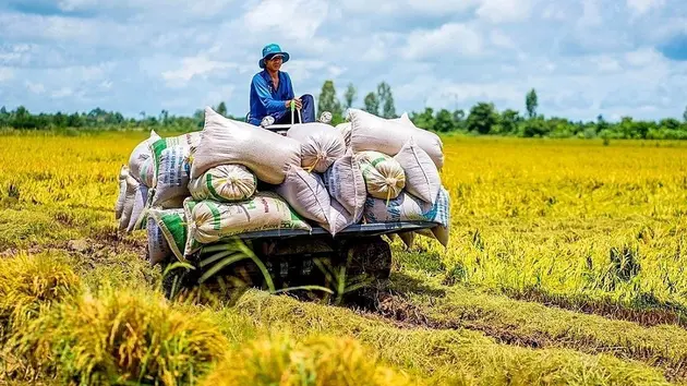 Đài Hà Nội