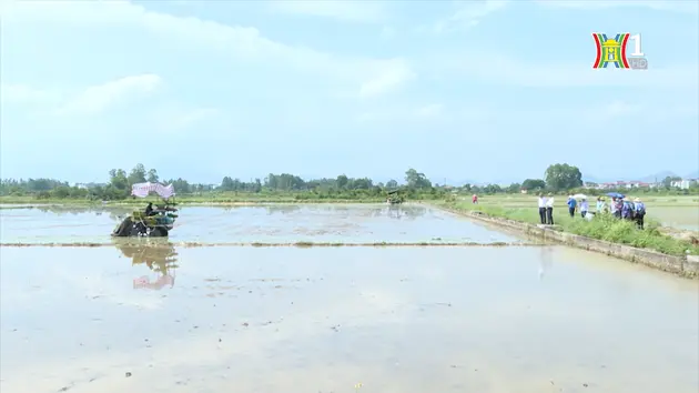 Tái cơ cấu nông nghiệp để thu hút đầu tư | Phát triển nông nghiệp nông thôn | 10/08/2024