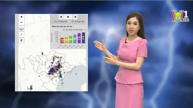 Dự báo thời tiết | 24/08/2024
