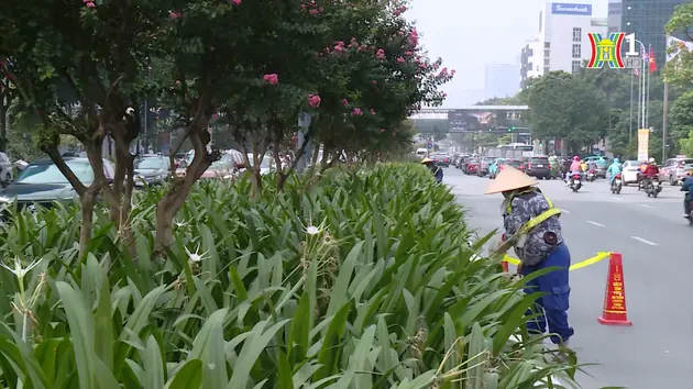 Đài Hà Nội