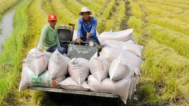 Đài Hà Nội