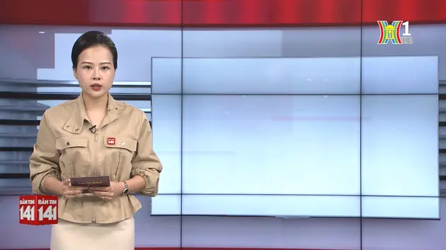 Bản tin 141 | 29/08/2024