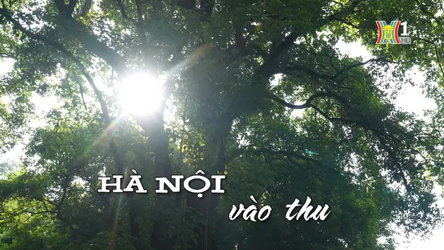 Đài Hà Nội