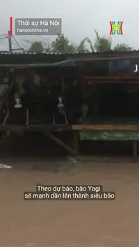 Đài Hà Nội