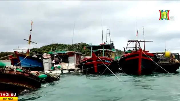 Dự báo thời tiết 11/12: Sắp có không khí lạnh tăng cường