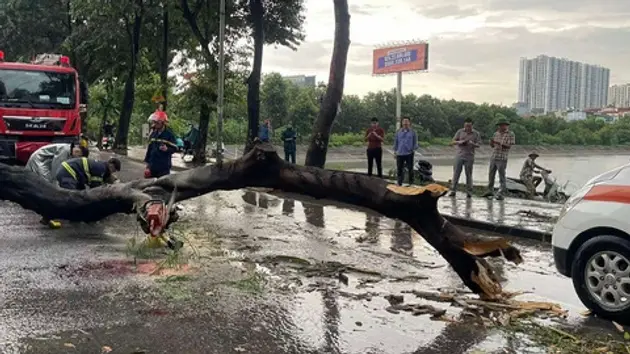 Khuyến cáo người dân không ra đường khi bão đổ bộ