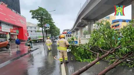 Báo cáo nhanh thiệt hại ban đầu do bão số 3