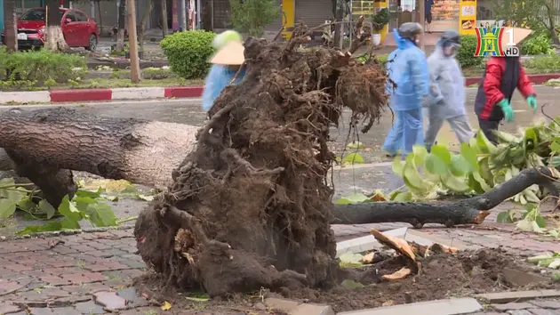 Đài Hà Nội