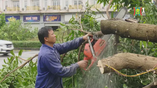 Đài Hà Nội