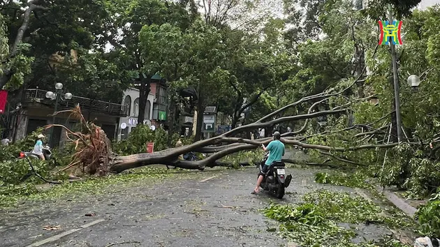 Đài Hà Nội