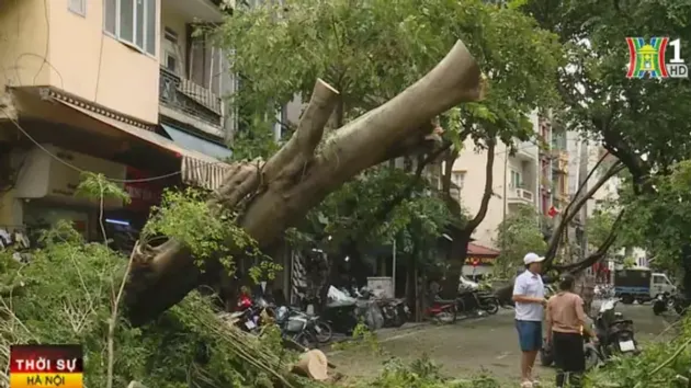 Đài Hà Nội