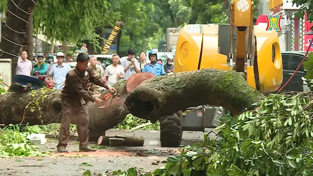 Đảm bảo vệ sinh môi trường sau bão