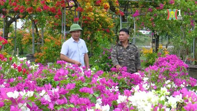 Đài Hà Nội