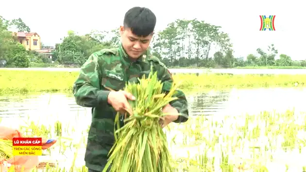 Đài Hà Nội