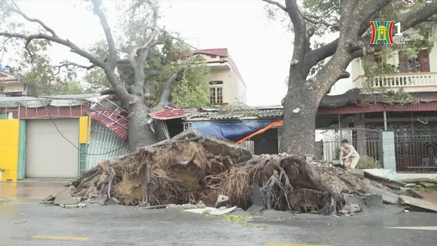 Đài Hà Nội